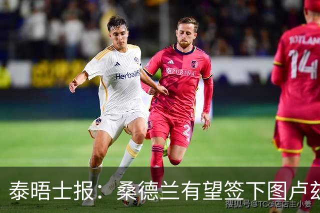 泰晤士报：桑德兰有望签下图卢兹后卫梅塔利，转会费或达3000万镑